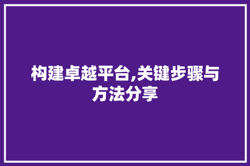 构建卓越平台,关键步骤与方法分享 Web前端