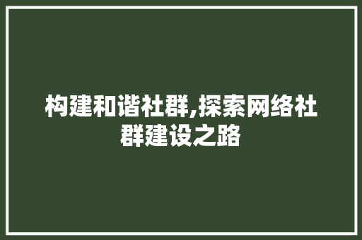 构建和谐社群,探索网络社群建设之路