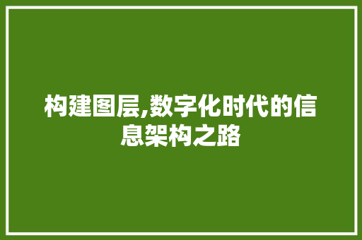 构建图层,数字化时代的信息架构之路