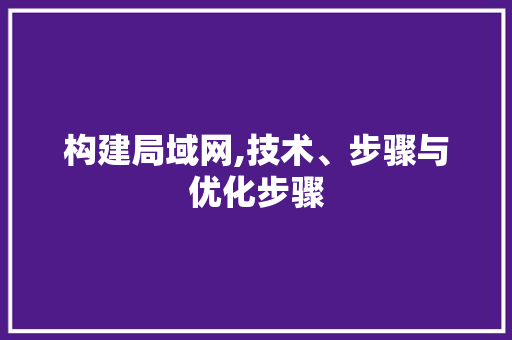 构建局域网,技术、步骤与优化步骤