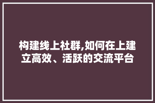构建线上社群,如何在上建立高效、活跃的交流平台