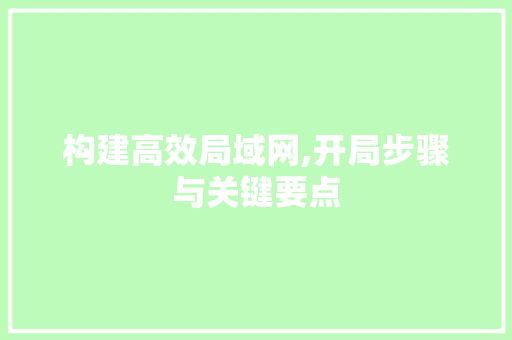 构建高效局域网,开局步骤与关键要点 服务器/数据库