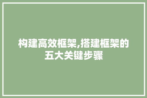 构建高效框架,搭建框架的五大关键步骤 服务器/数据库