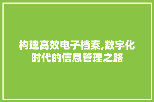构建高效电子档案,数字化时代的信息管理之路 服务器/数据库