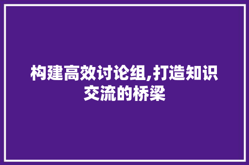 构建高效讨论组,打造知识交流的桥梁 SEO教程