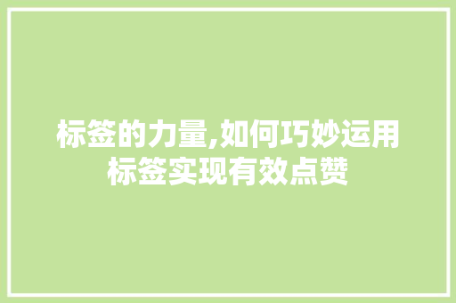 标签的力量,如何巧妙运用标签实现有效点赞 友链在线