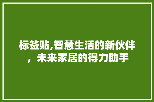 标签贴,智慧生活的新伙伴，未来家居的得力助手 建站教程
