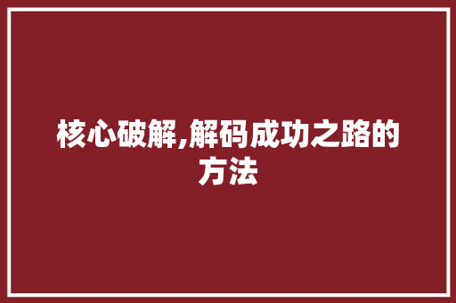 核心破解,解码成功之路的方法
