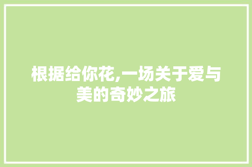 根据给你花,一场关于爱与美的奇妙之旅