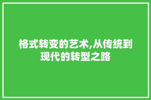 格式转变的艺术,从传统到现代的转型之路