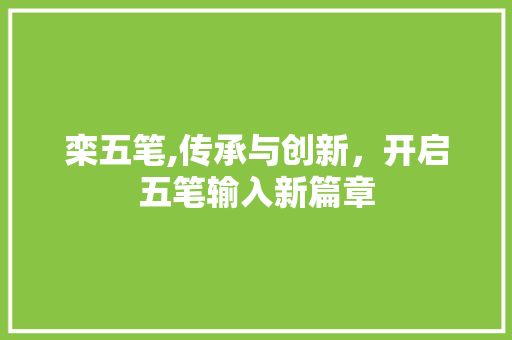 栾五笔,传承与创新，开启五笔输入新篇章