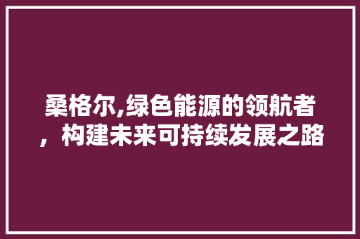 桑格尔,绿色能源的领航者，构建未来可持续发展之路