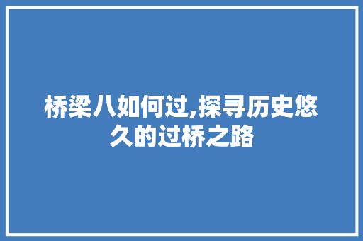 桥梁八如何过,探寻历史悠久的过桥之路 SEO教程