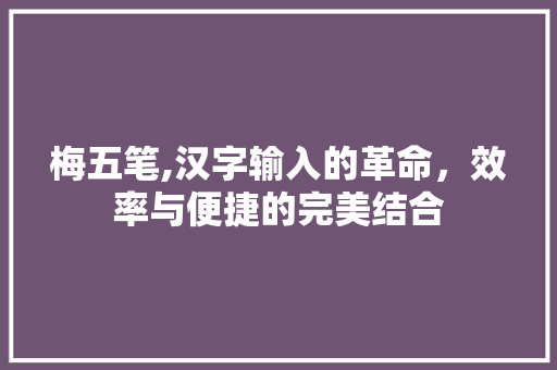 梅五笔,汉字输入的革命，效率与便捷的完美结合