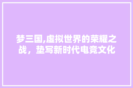梦三国,虚拟世界的荣耀之战，垫写新时代电竞文化