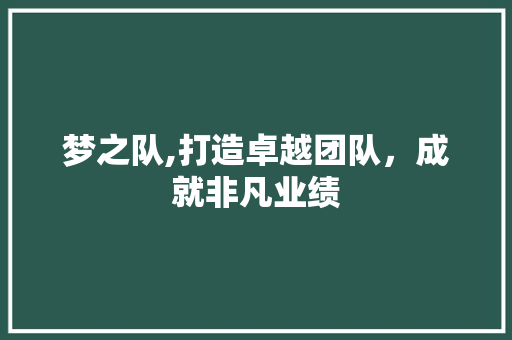 梦之队,打造卓越团队，成就非凡业绩