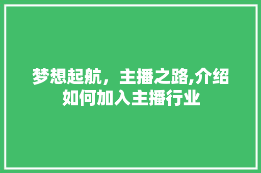 梦想起航，主播之路,介绍如何加入主播行业 建站教程