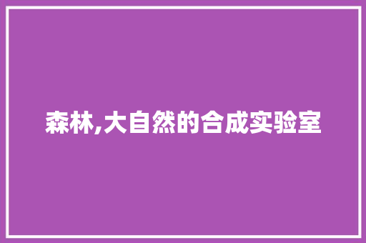 森林,大自然的合成实验室 建站教程