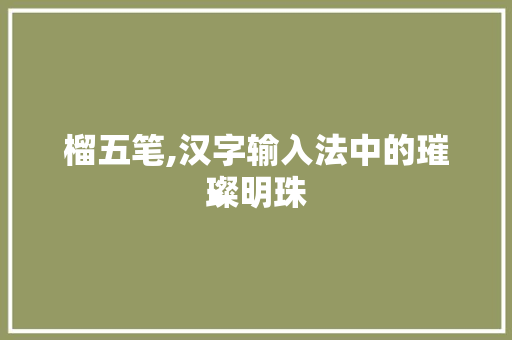 榴五笔,汉字输入法中的璀璨明珠