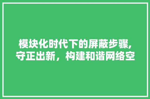 模块化时代下的屏蔽步骤,守正出新，构建和谐网络空间