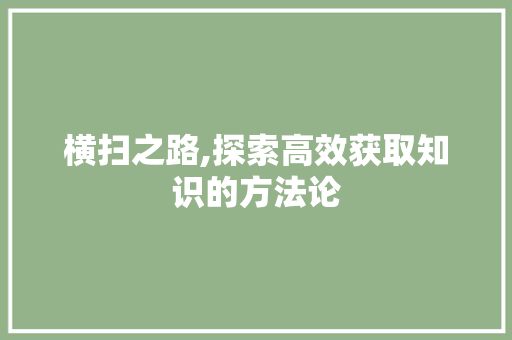 横扫之路,探索高效获取知识的方法论