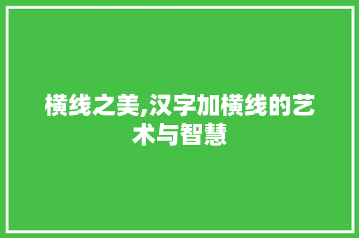 横线之美,汉字加横线的艺术与智慧