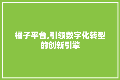 橘子平台,引领数字化转型的创新引擎 Web前端