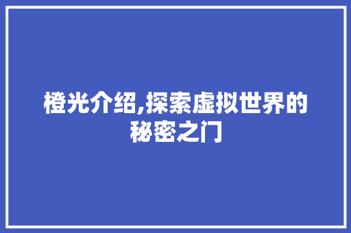橙光介绍,探索虚拟世界的秘密之门