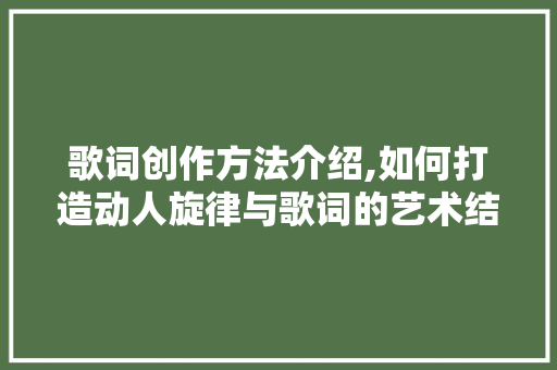 歌词创作方法介绍,如何打造动人旋律与歌词的艺术结晶 WordPress教程