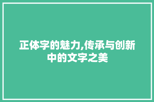 正体字的魅力,传承与创新中的文字之美