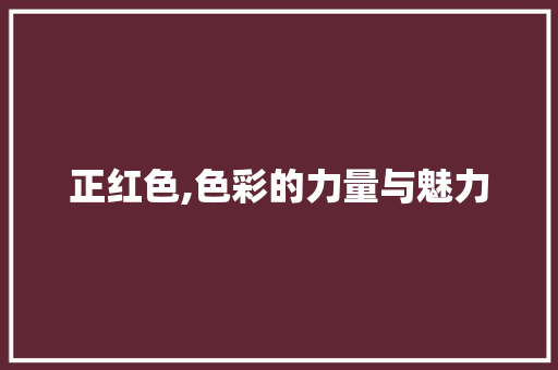 正红色,色彩的力量与魅力 Web前端