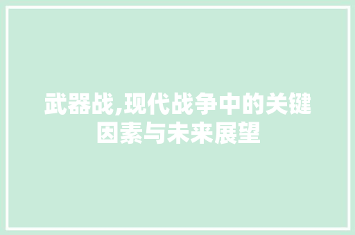 武器战,现代战争中的关键因素与未来展望 WordPress教程