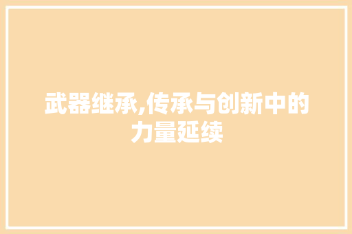 武器继承,传承与创新中的力量延续 服务器/数据库
