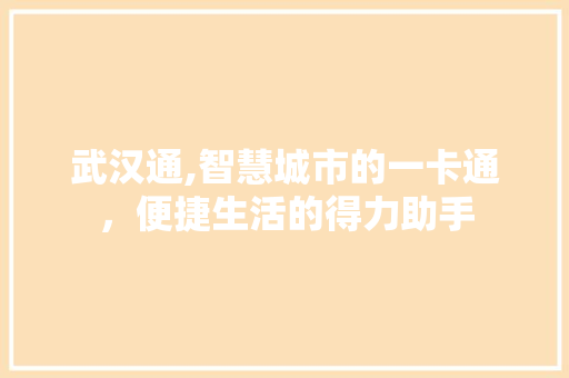 武汉通,智慧城市的一卡通，便捷生活的得力助手