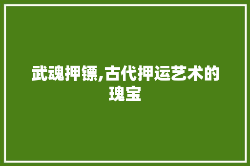 武魂押镖,古代押运艺术的瑰宝