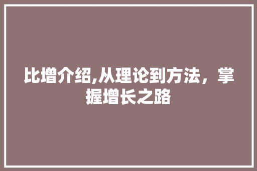 比增介绍,从理论到方法，掌握增长之路
