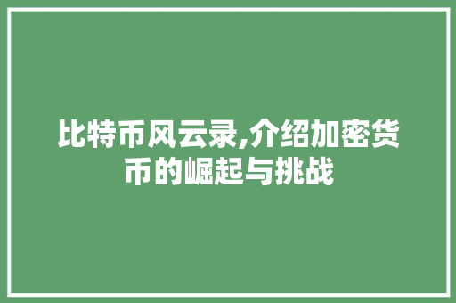 比特币风云录,介绍加密货币的崛起与挑战
