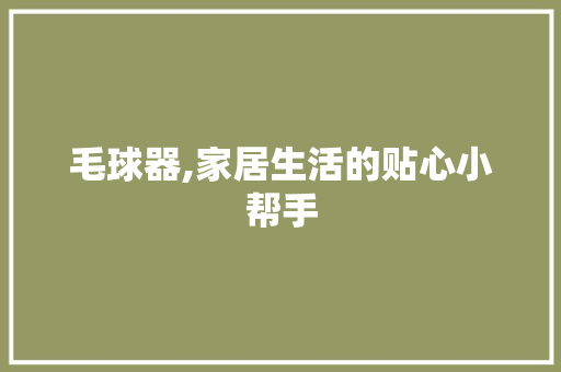 毛球器,家居生活的贴心小帮手