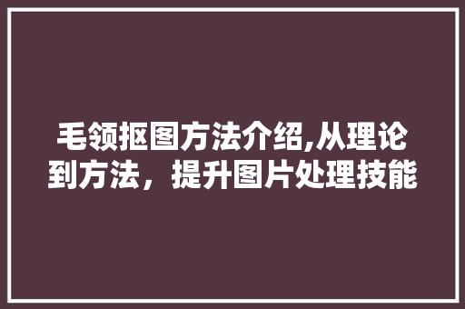 毛领抠图方法介绍,从理论到方法，提升图片处理技能