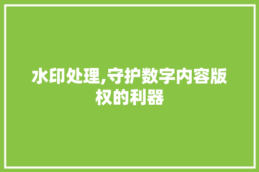 水印处理,守护数字内容版权的利器