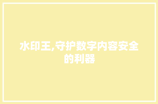 水印王,守护数字内容安全的利器