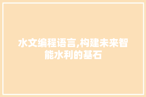 水文编程语言,构建未来智能水利的基石