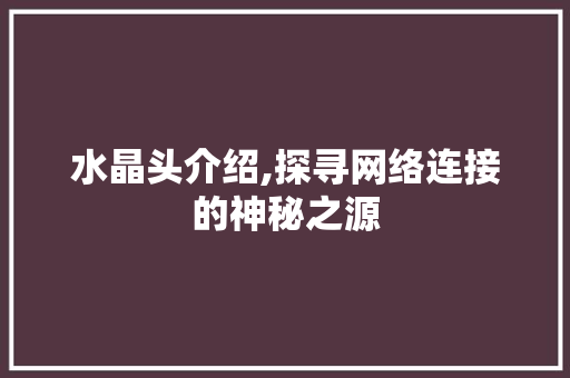 水晶头介绍,探寻网络连接的神秘之源