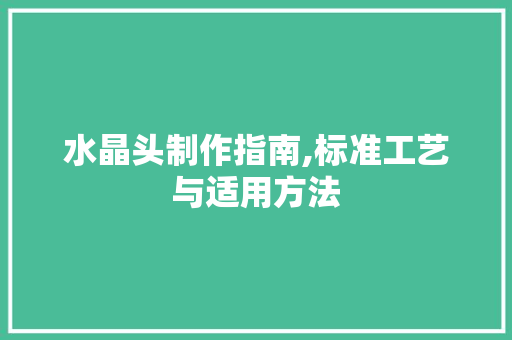 水晶头制作指南,标准工艺与适用方法