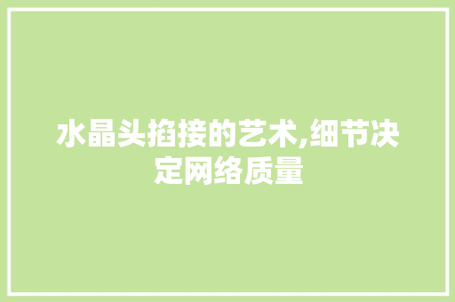 水晶头掐接的艺术,细节决定网络质量 友链在线