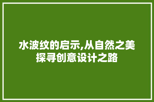 水波纹的启示,从自然之美探寻创意设计之路