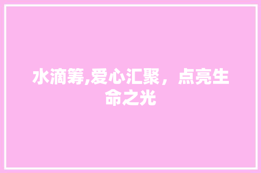 水滴筹,爱心汇聚，点亮生命之光