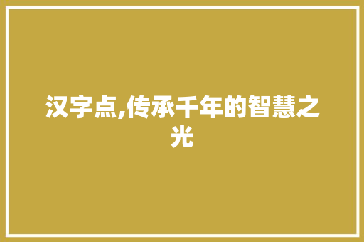 汉字点,传承千年的智慧之光 服务器/数据库