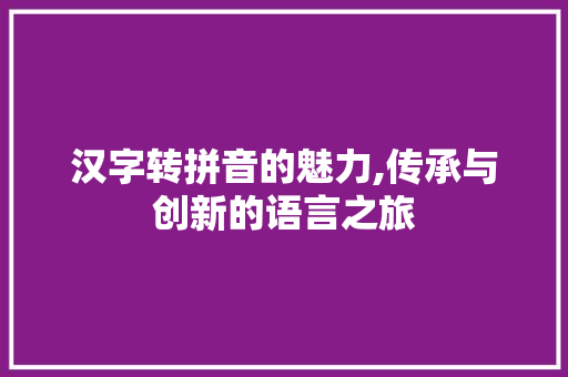 汉字转拼音的魅力,传承与创新的语言之旅