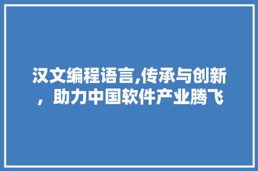 汉文编程语言,传承与创新，助力中国软件产业腾飞 SEO教程